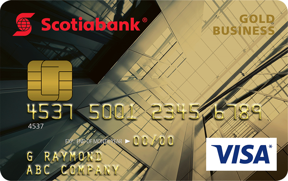 VISA Business Credit Card